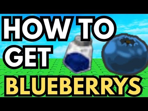 How To Get Blueberry Fast In Bee Swarm Simulator On Roblox