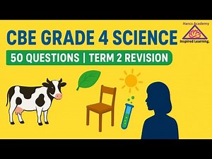 Lesson 5 🧪 CBE Grade 4 Science Term 2 Revision 50 MCQs with Answers & Illustrations KNEC Prep