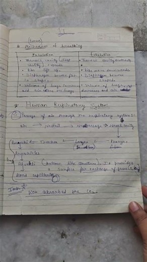 class 10th life process notes 📃