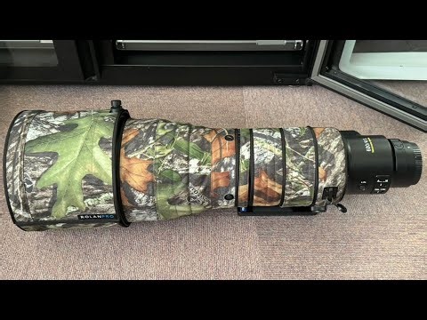 NIKKOR Z 600mm f/4 TC VR S、導入数ヶ月後の使用レポート(ゆっくりトーク)