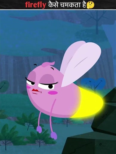 How does a firefly glow🤔