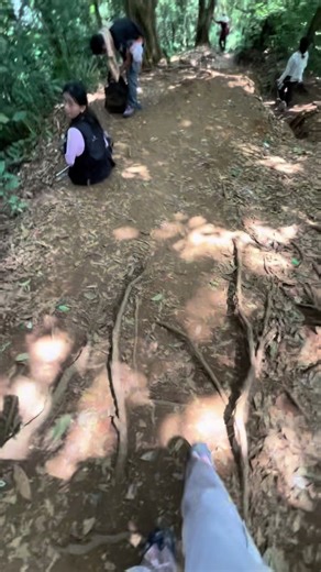 Mendaki Gunung Burangrang: Tips dan Pemandangan Menakjubkan