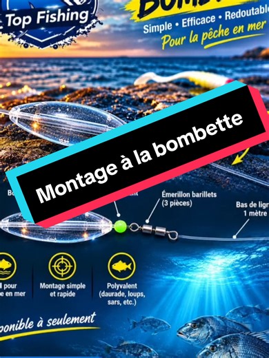 Montage à la Bombette : Les Meilleurs Moments de Pêche en Algérie