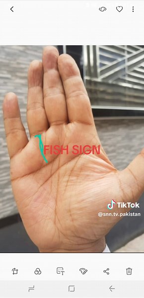 Discover the Meaning of the Fish Sign in Palmistry