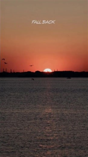 Lithe – Fall Back (Lyrics) #shorts #viral