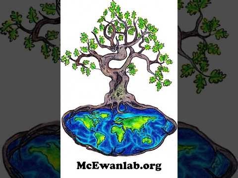 Data Analysis in R: Introduction to Correlation