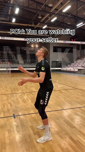 David Seybering on TikTok