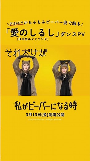 「わたビバ」日本版エンドソング🦫「愛のしるし」ダンスPV公開🦫PUFFYがモフモフビーバー姿で踊る✨超レアなダンスをチェック👀『私がビーバーになる時』3/13公開🎬