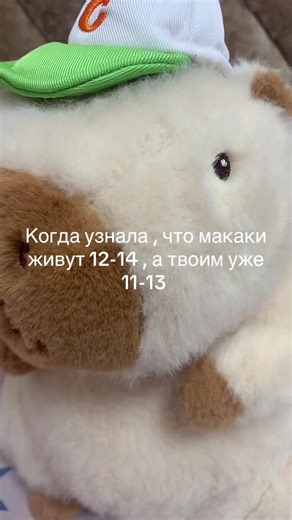 @sashka_Okey @Элька