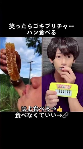 ゴキブリチャーハン食べるまで残り３日