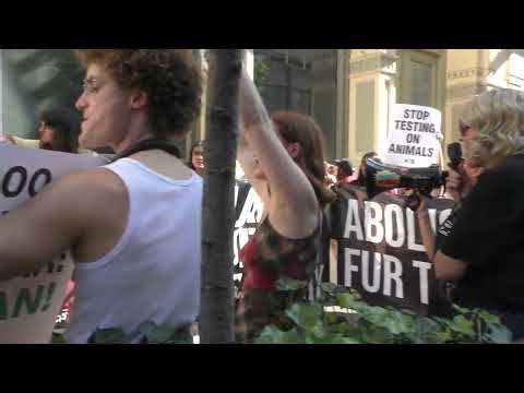 Thousands Unite in NYC for The Official Animal Rights March 2025