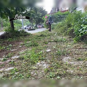 Help ! overgrown lawn mowing grass and the magical Cre:Clean up 68 . . . . . #deepcleaning #oddlysatisfying #beforeandafter #makeover #transformation #sariafyingcleaning #sparklingclean #tidyup #deepclean #homecleaning #putzen #nettoyer #cleaning #rivercleanup #cleanupthedirtykitchen #cleantok #superclean #kitchencleaner #limpiezahogar #cleaningforfee #housecleaning #kitchencleaning #bedroomcleaning #livingroomcleaning #cleanupthetrash #cleanupthedirtyroom | CHill