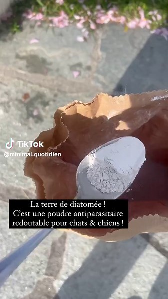 LA TERRE DE DIATOMÉE SUR NOS ANIMAUX CONTRE LES PUCES ET TIQUES et même les poux rouges. C’est un produit 100% naturel sans aucun risque de toxicité ni de danger pour l’environnement ! Cette poudre est connue pour son action insecticide, composée de petits cristaux qui enrobent les insectes engendrant des lésions du tube digestif. Alors oui dit comme ça on provoque la mort de ces insectes mais pour le coup c’est soit eux soit nos animaux et on sait qu’ils peuvent être responsables de maladies et