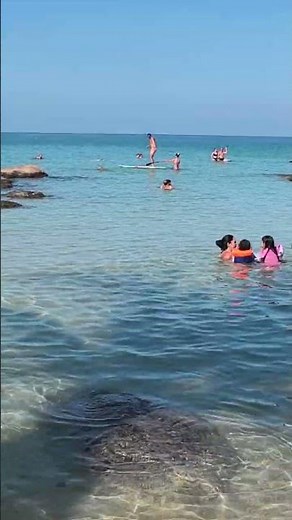 Crystal Beach Exploration on Koh Samui Thailand #shorts #crystalbeach #kohsamui #kosamui