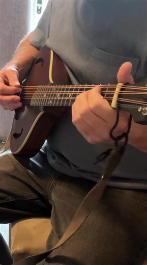 Stay- cover on octave mandola #octavemandola #accousticmusic #acoustics #acousticcover