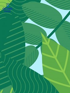 Thank you for joining the #GCashForest movement! We're well on our way to reaching our goal of planting 365,000 trees, so keep on using GCash to collect more green energy for greener Philippine forests! 🌱🌿🌳 Don't have GCash yet? Download the GCash App or register to GCash on Messenger, available for all networks! Play Store: bit.ly/GCashAndroid App Store: bit.ly/GCashiOS GCash on Messenger: m.me/gcashofficial | GCash