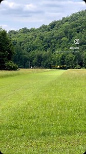 6.7K views · 168 reactions | Zen landing the Kitfox at Byrds | Kelly Qualls - Aviation | Facebook