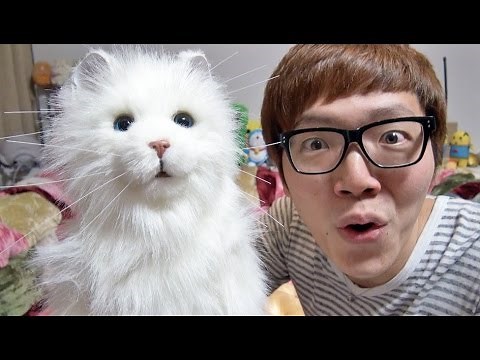 I bought a robot cat!