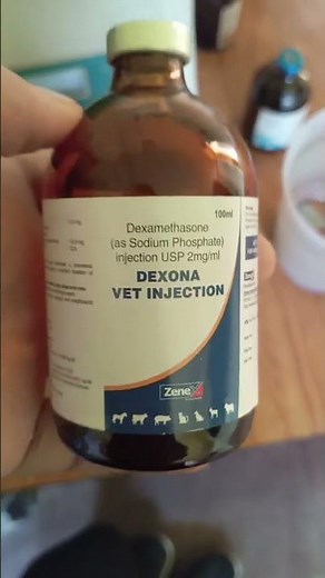 Dexamethasone injection | VET Knowledge