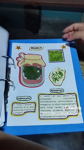 Herbario de Plantas Medicinales: Guía y Manualidades