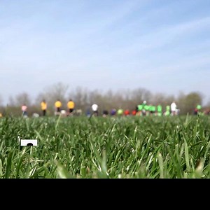 Gov. DeSantis lifted restrictions on youth activities and summer camps and Universal Orlando Resort is reopening June 1. Watch Ch. 9 today at 4 for the latest COVID-19 updates. | WFTV Channel 9