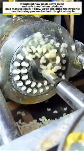 How Hygienic Pasta Is Made | Industrial Food Production Educational Short‎