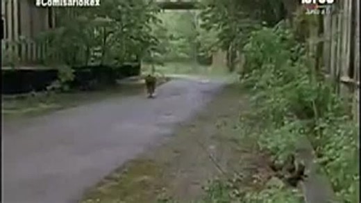 4.4 Comisario Rex. La muerte de Moser (Serie 1998, Alemania)