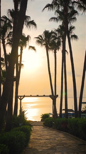 Cyprus dazzles with its radiant sunshine, painting landscapes in hues of amber and gold. From sandy shores to ancient ruins bathed in a warm glow, its beauty captivates. This Mediterranean jewel offers an enchanting blend of history and natural splendor, where every sunset is a masterpiece of light and tranquility. ❤️ We thank the Deputy Ministry of Tourism, Cyprus for this stunning video #LoveCyprus | Cyprus Airways