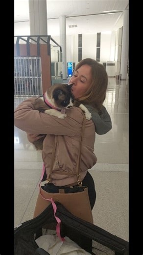 A Transporte Pet Internacional é referência em transporte internacional de cães e gatos, realizando viagens internacionais de pets acompanhado de forma segura, confortável e em total conformidade com as exigências legais de cada país.🐈🇧🇷✈️🐾❤️🇺🇲 | Transporte Pet - cães e gatos viagem internacional