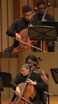 Sphinx Virtuosi in Ann Arbor + Akron 🎻