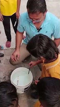 Floating or Sinking? Real Science Activity with Kids | Learn by Doing | Pawan Sir