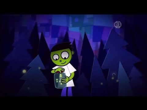 PBS Kids Fireflies (2008-2013) 2 Versions