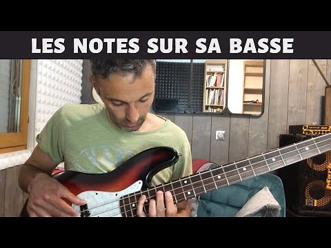Débuter la basse : Les notes sur sa basse