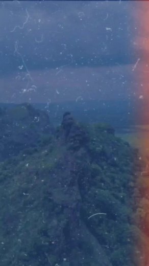 Mono Aullador 🇬🇹 #tikal #tikalpeten #monoaullador #guatemala #travel | El Hit Guate