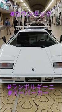 闘牛の街で猛牛(カウンタック)を見てきた!!! #スーパーカー #カウンタック #ランボルギーニ