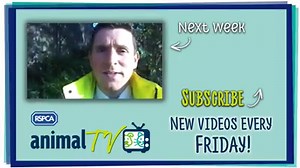 27K views · 208 reactions | Does your dog love playing tug of war?...