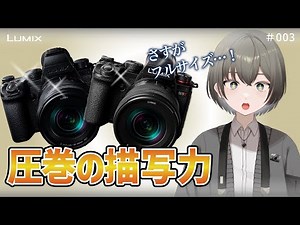 自分に合うカメラの選び方-フルサイズの強み4選-【1.カメラ基礎解説 #003】