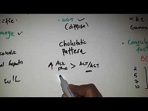 Liver function tests explained [በአማርኛ]