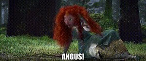 Angus!