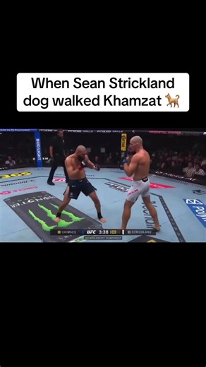 Sean wins the rematch #ufc #mmaworld #mmatok #seanstrickland #khamzatchimaev🐺