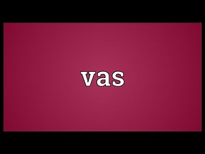 Vas Meaning