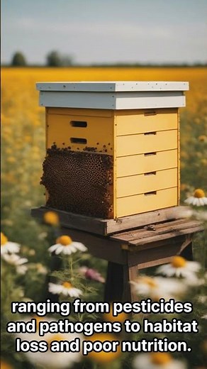 Colony Collapse Disorder (CCD)