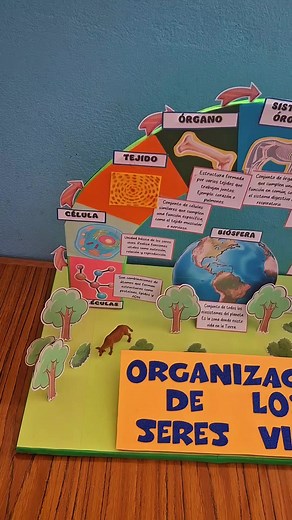 Maqueta: Organización de los seres vivos - guía paso a paso