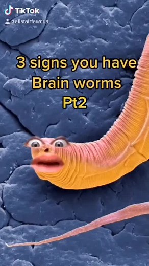 Signs of Brain Worms: 3 More Unsettling Symptoms Revealed