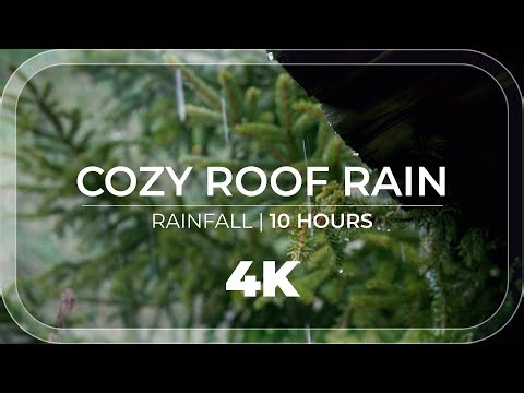Cozy Roof Rain | 10 Hours of cozy sheltered rain