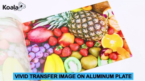 Koala Sublimation Ink Refill Kit, 600ML Ink, Compatible with Epson Surecolor F170 F570 F530 F500 F550 Ecotank ET-2400 2800 ET-2803 ET-2850 ET-2720 ET-2760 ET-4800 ET-15000 etc.