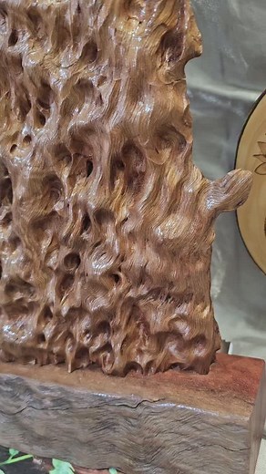 Did anyone see what I saw? Of the southern coast of Australia lives an elusive creature, that seamlessly blends in with it environment. Here, I have decided to honour this unique being with this piece. Introducing- THE LEAFY SEADRAGON #leafyseadragon #pyrography #timbersculpture #timber #woodart #pyrographer #woodburning #pyrographyartist #seahorse #marine #oceanart #australianart #fineart #australianartist #freehand #sealife #sea #oceanside #sunshinecoasthinterland #sunshinecoastevents #gympiea