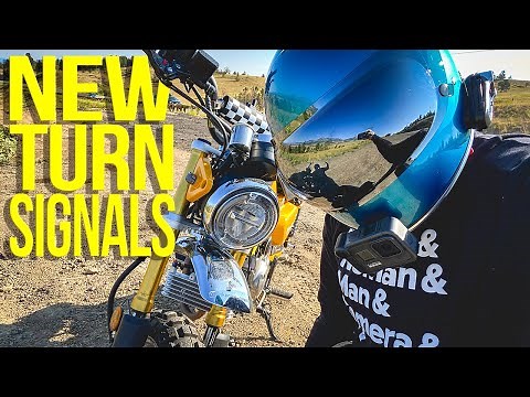 Honda Monkey | Get Rid Of Those Ugly Turn Signals