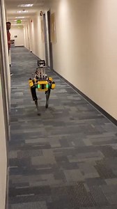 57 reactions | Robotic dog in the Engineering Center? Robotic dog in the Engineering Center! 烙料 This Defense Advanced Research Projects Agency - DARPA #SubTChallenge robotic pup is exploring the hallways of the University of Colorado Boulder Engineering Center autonomously (without human commands) to build a 3D map of the world. : Molly Riddell | CU Boulder Engineering | Facebook