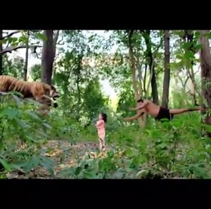 2.9K views · 41 reactions |  | Sarcasm | Facebook